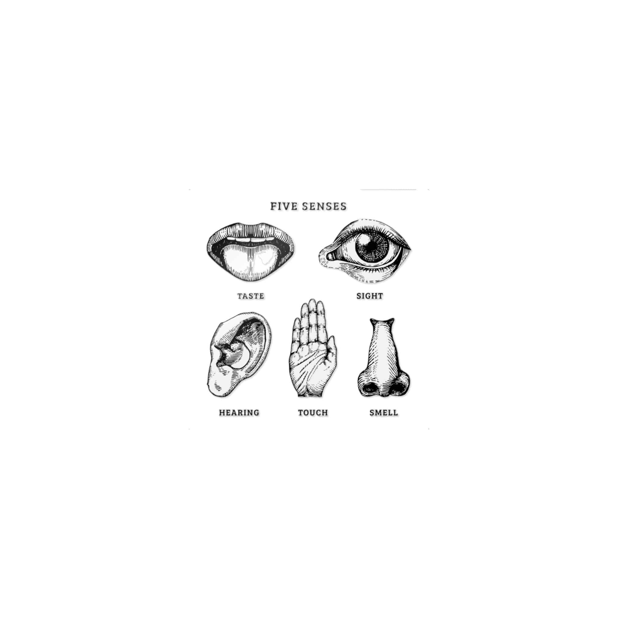 Five Senses Die Cut Stickers Dtf - Image 9