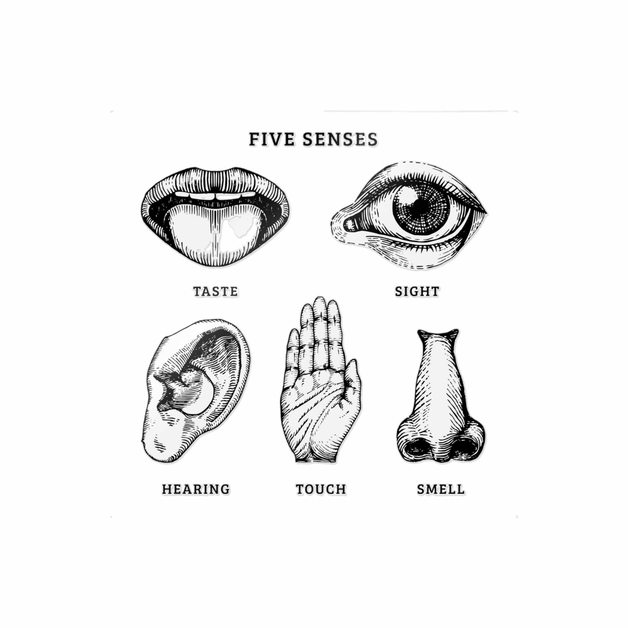 Five Senses Die Cut Stickers Dtf - Image 23