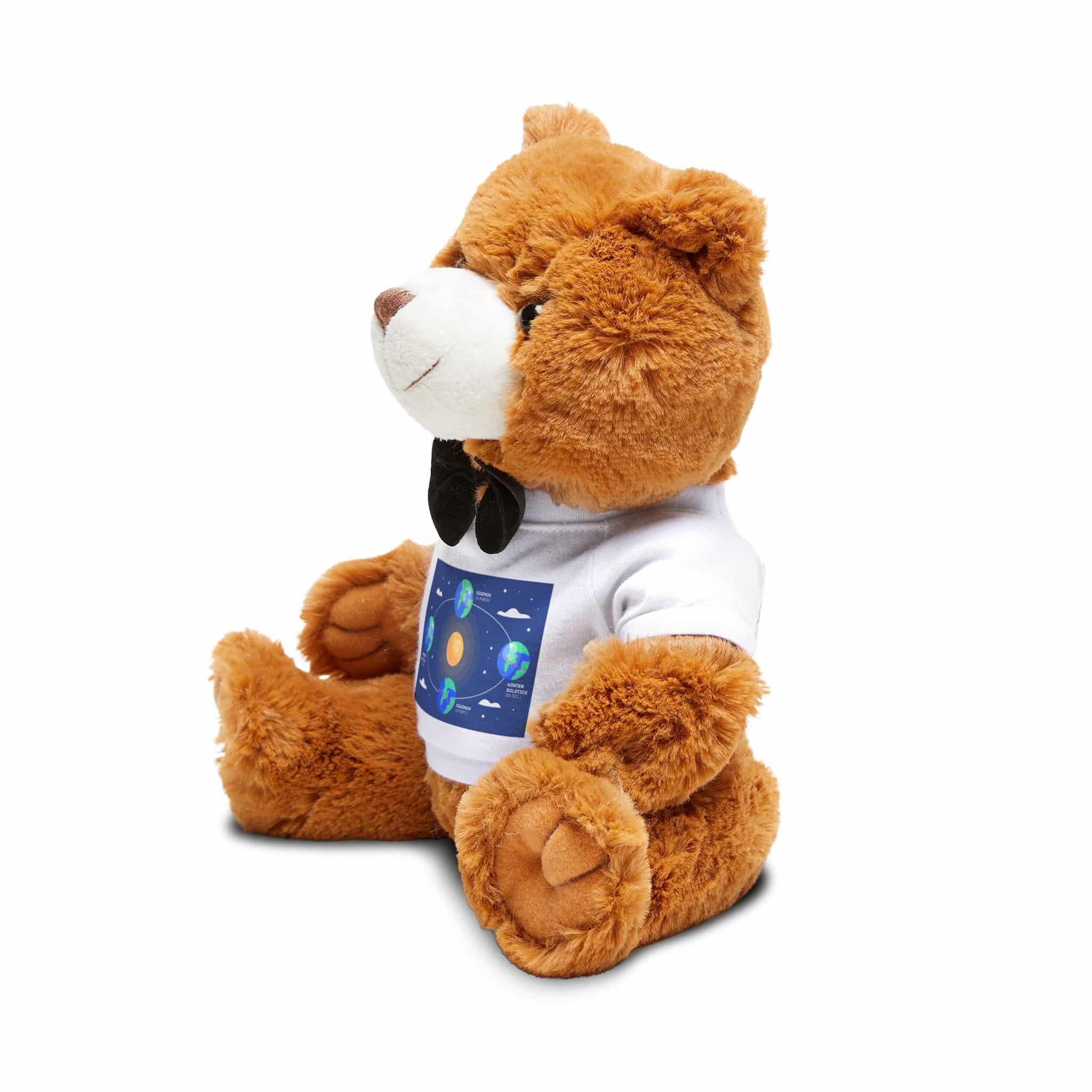 Original Design 54D4BA Teddy Bear With T Shirt - Image 3