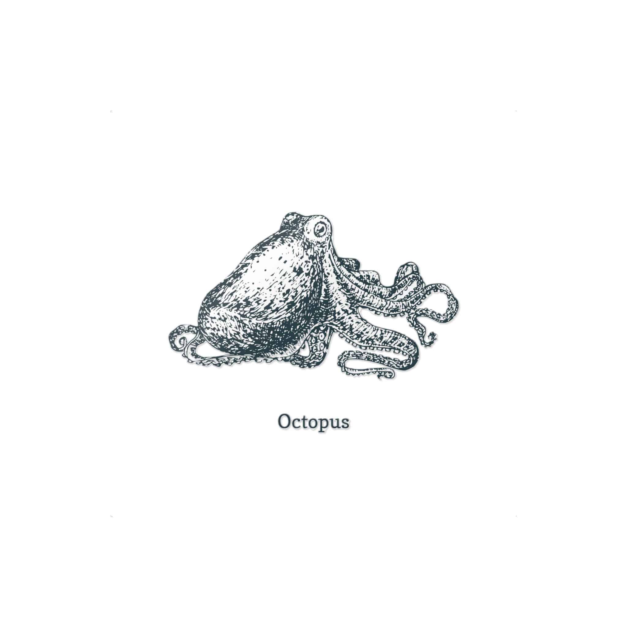 Octopus 1 Die Cut Stickers Dtf - Image 21