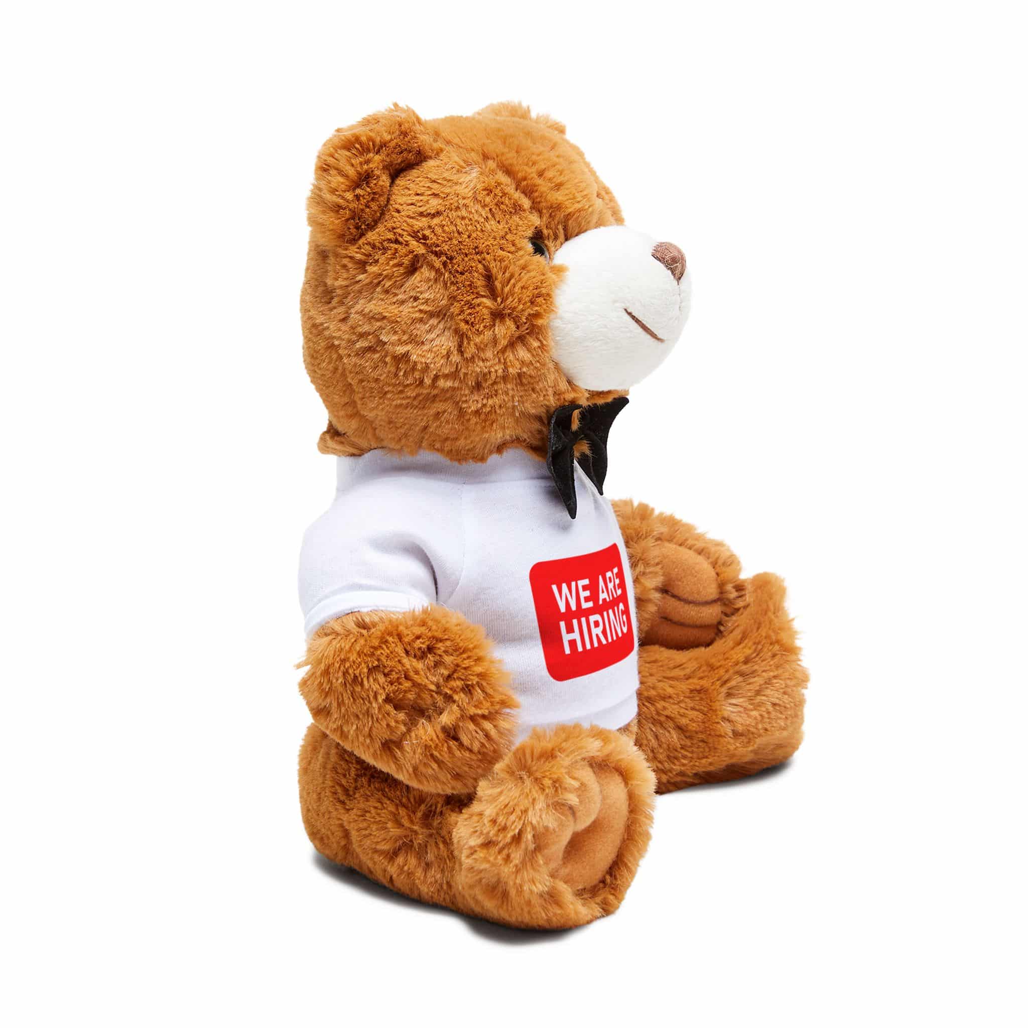 We Are Hiring 162518 Teddy Bear With T Shirt - Image 2