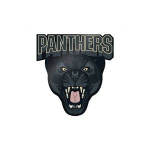 Panthers Die Cut Stickers Dtf