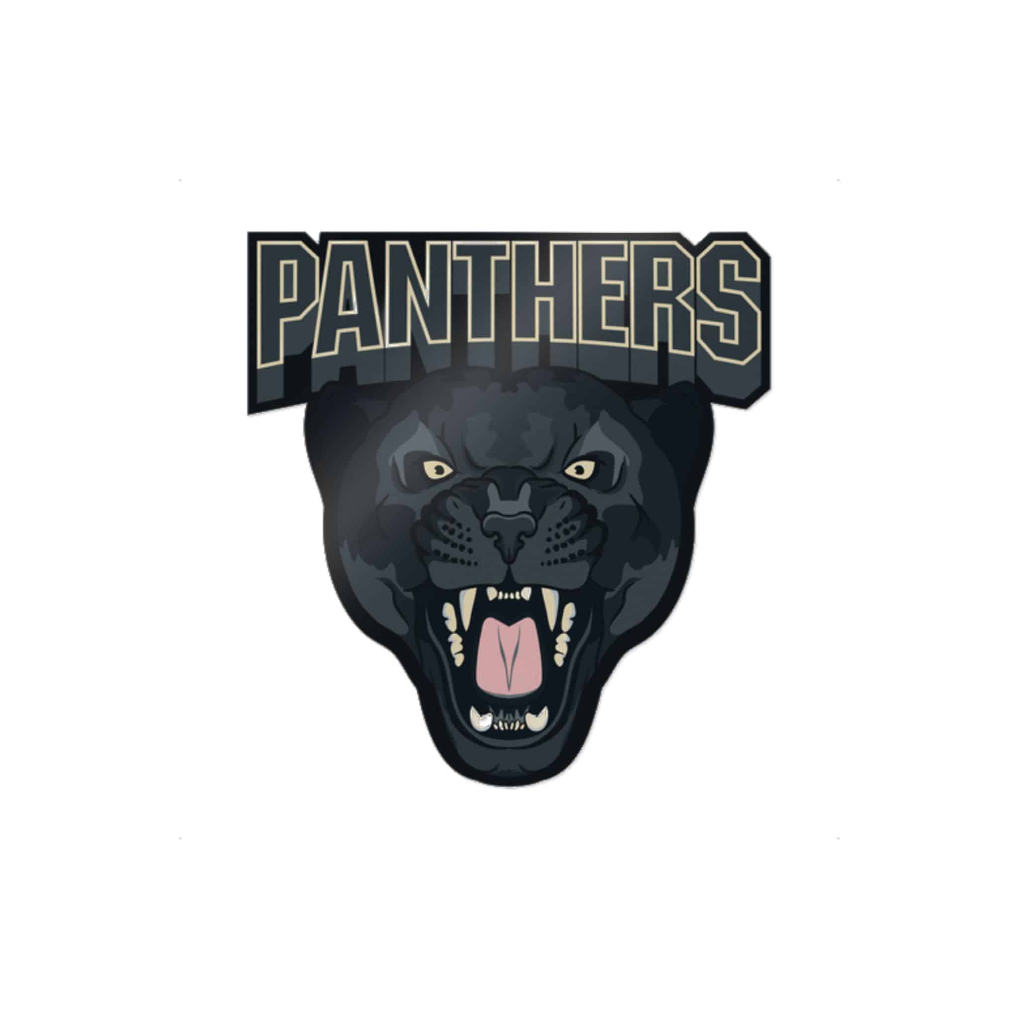 Panthers Die Cut Stickers Dtf