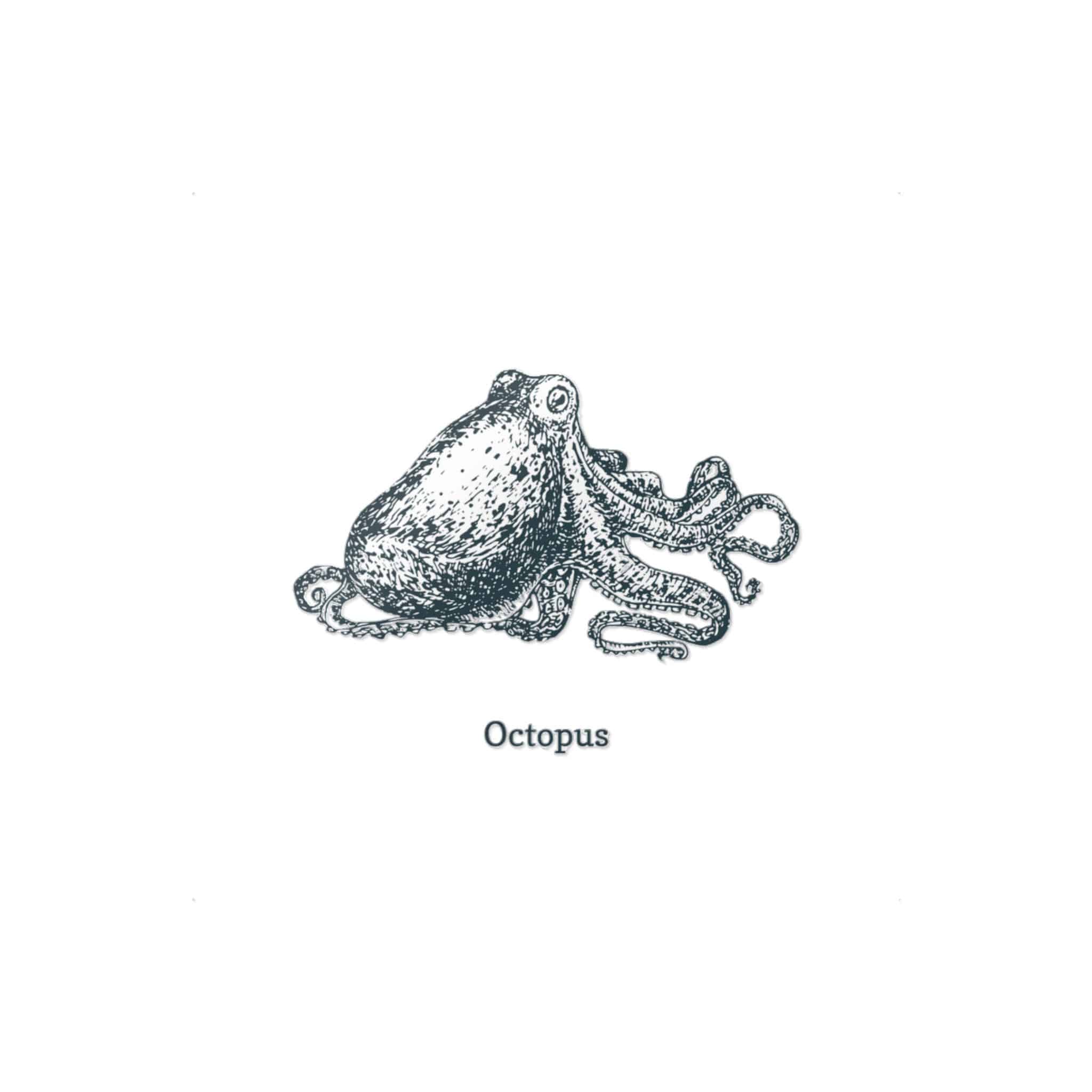 Octopus 1 Die Cut Stickers Dtf - Image 3