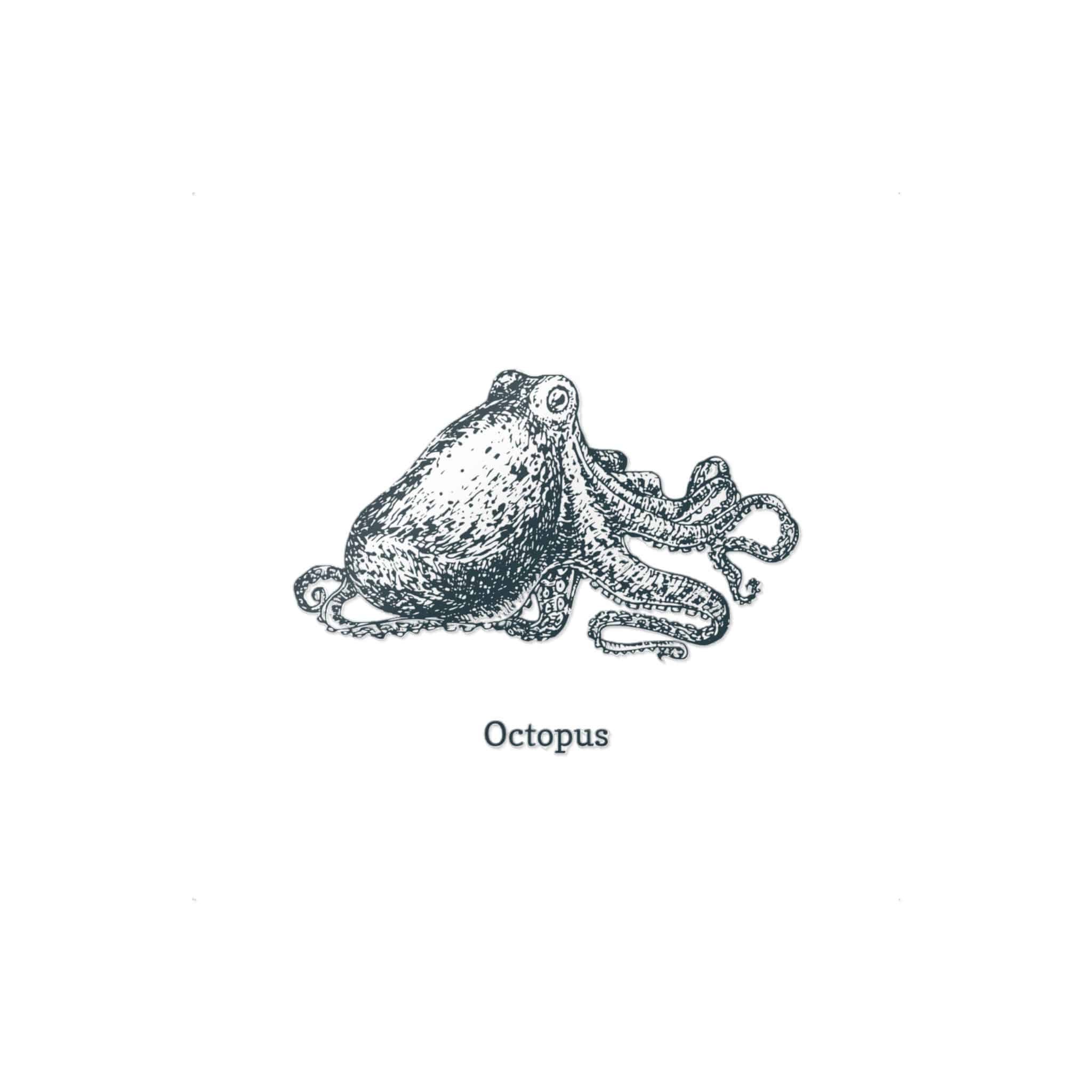 Octopus 1 Die Cut Stickers Dtf - Image 5