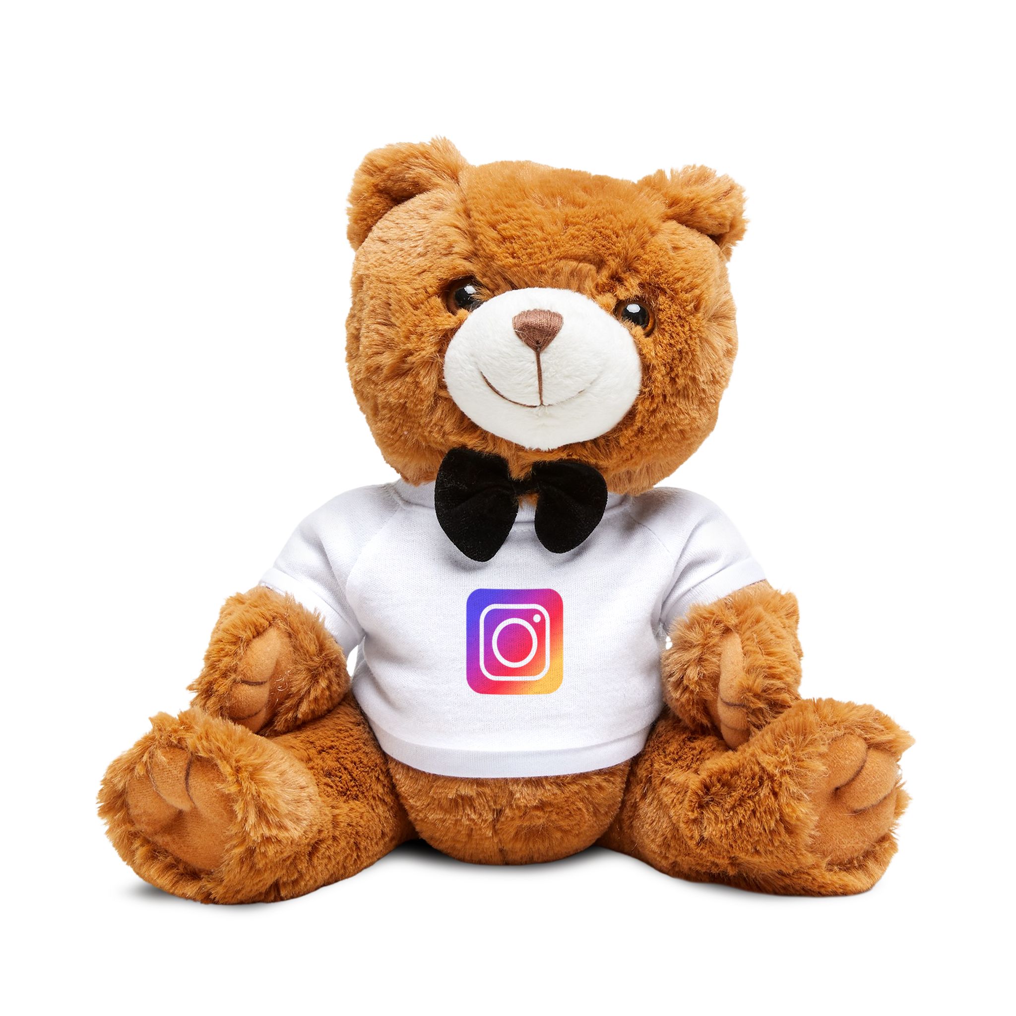Instagram Icon Teddy Bear With T Shirt