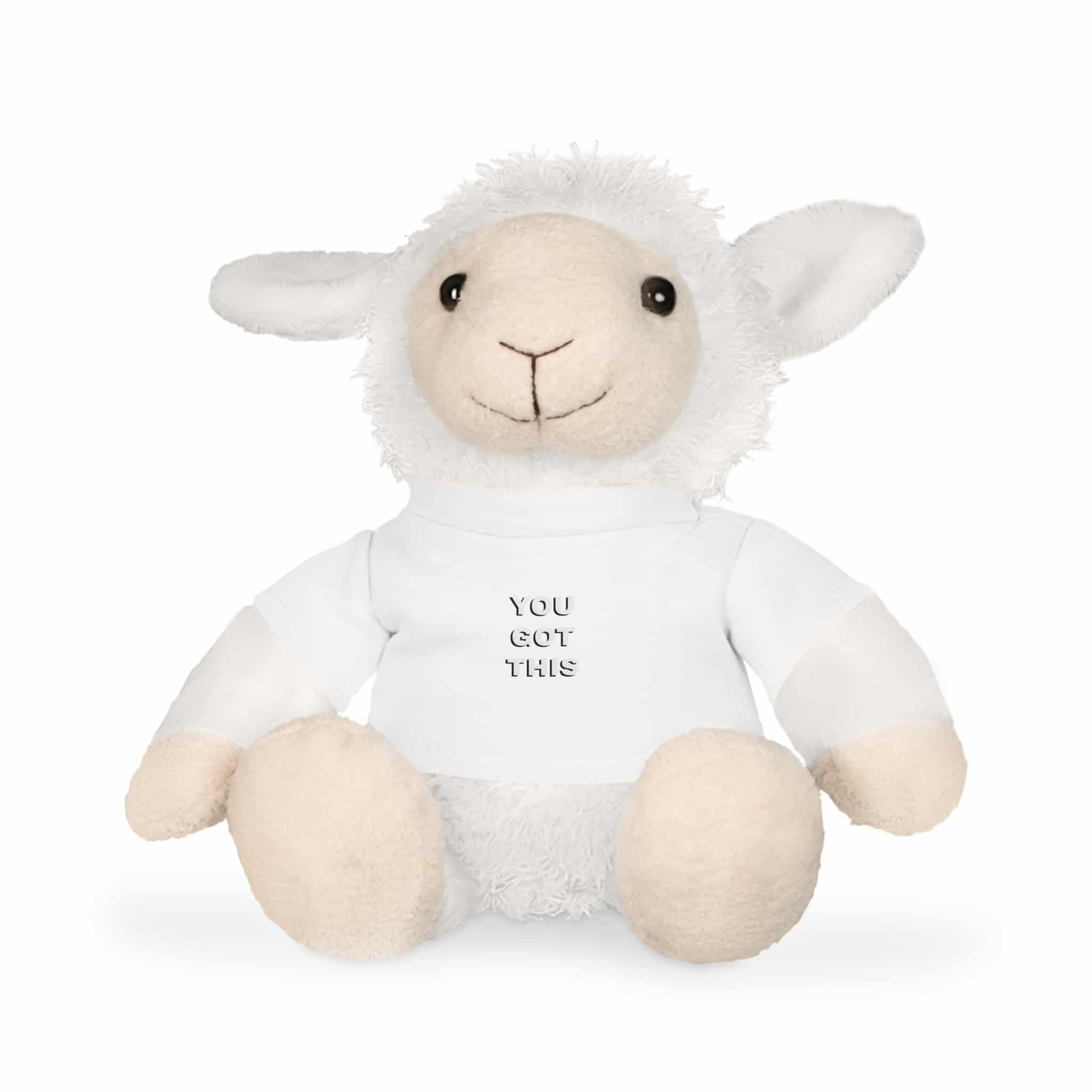 You Got This Plush Toy With T Shirt - Image 10
