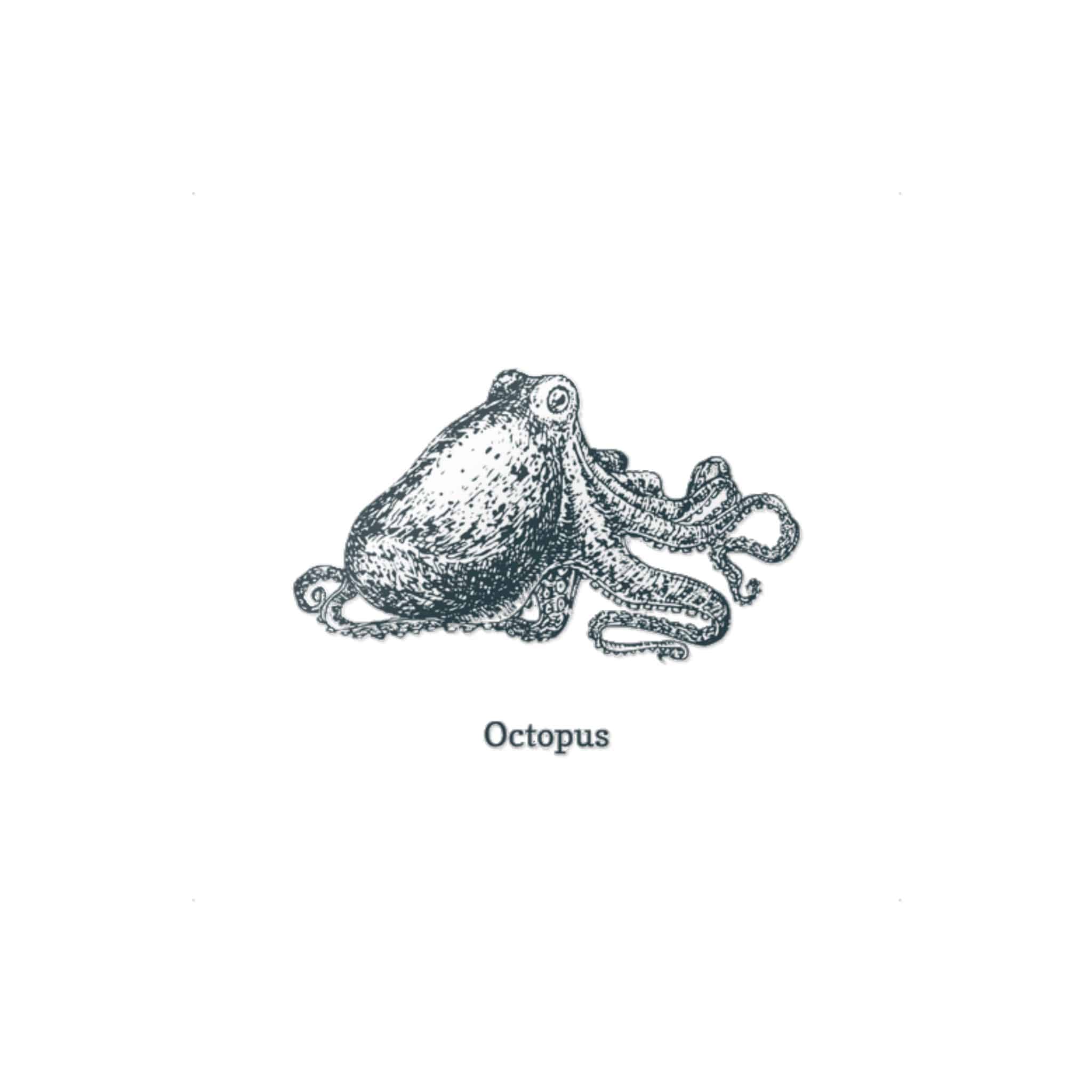 Octopus 1 Die Cut Stickers Dtf