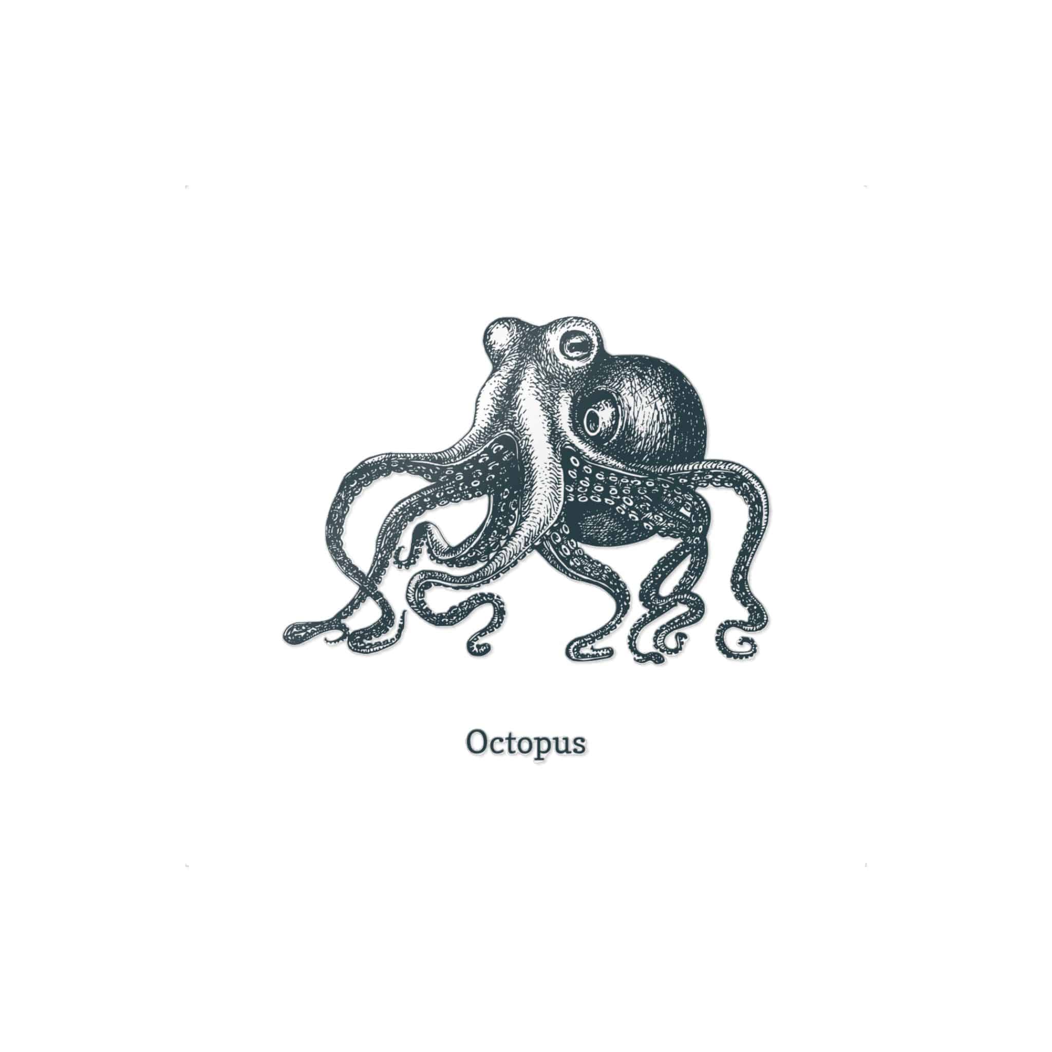 Octopus Die Cut Stickers Dtf - Image 11