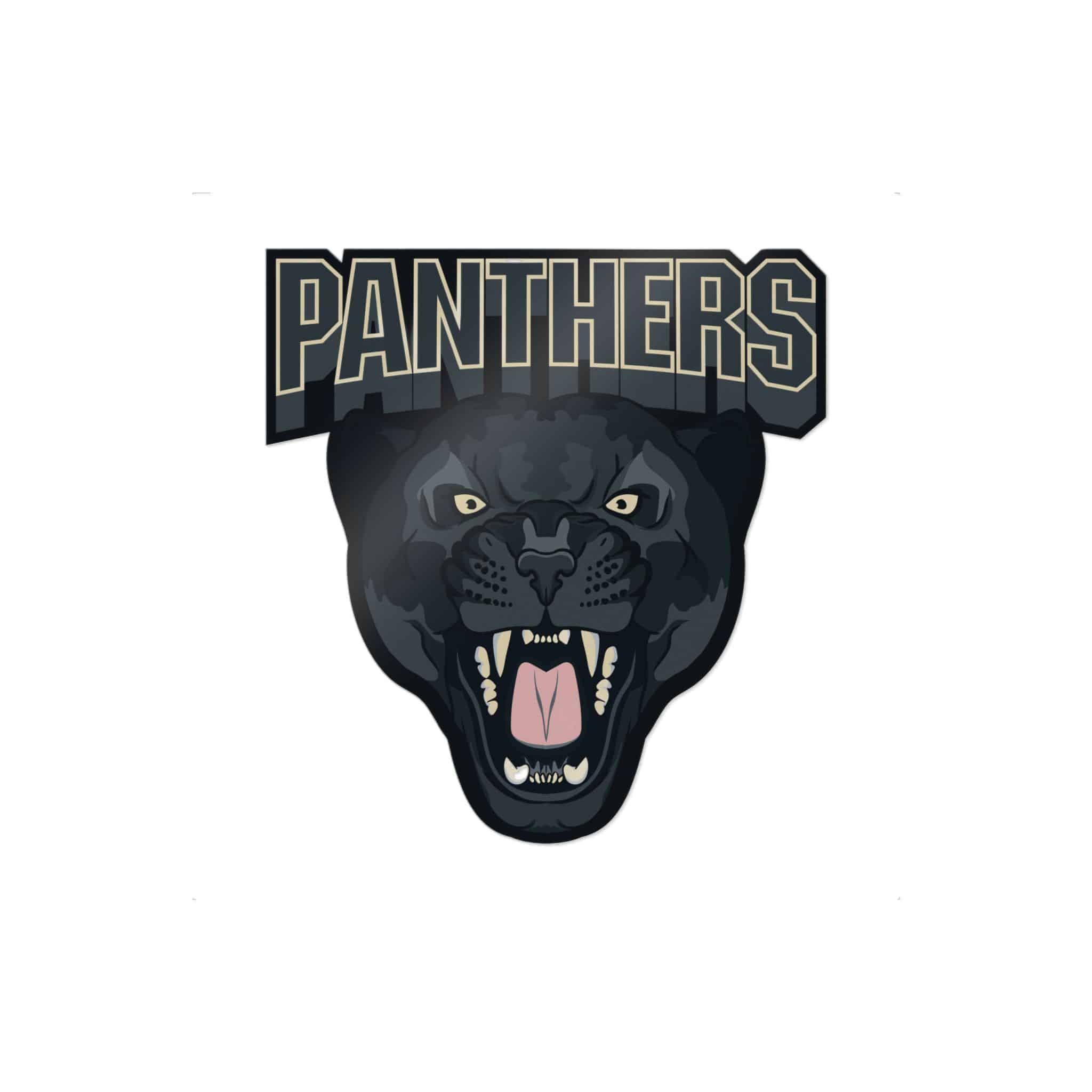 Panthers Die Cut Stickers Dtf - Image 15