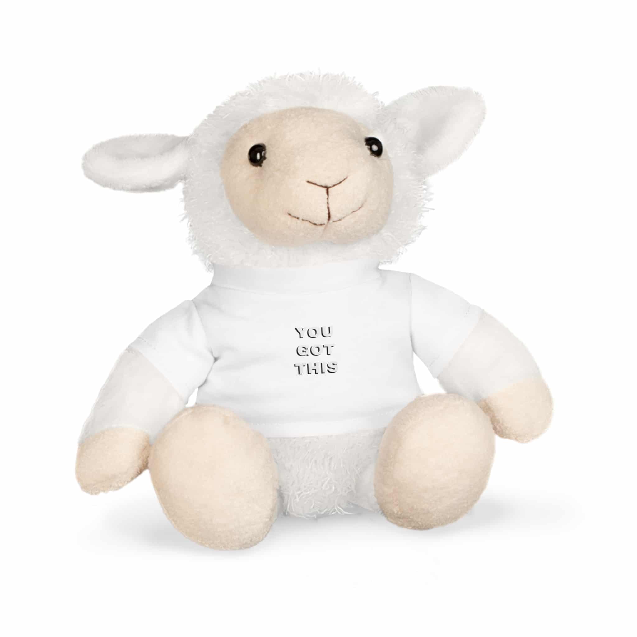 You Got This Plush Toy With T Shirt - Image 11