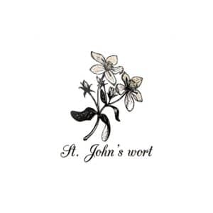 St Johns Wort Die Cut Stickers Dtf