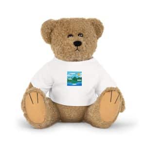 Original Design 009FDD Plush Toy With T Shirt