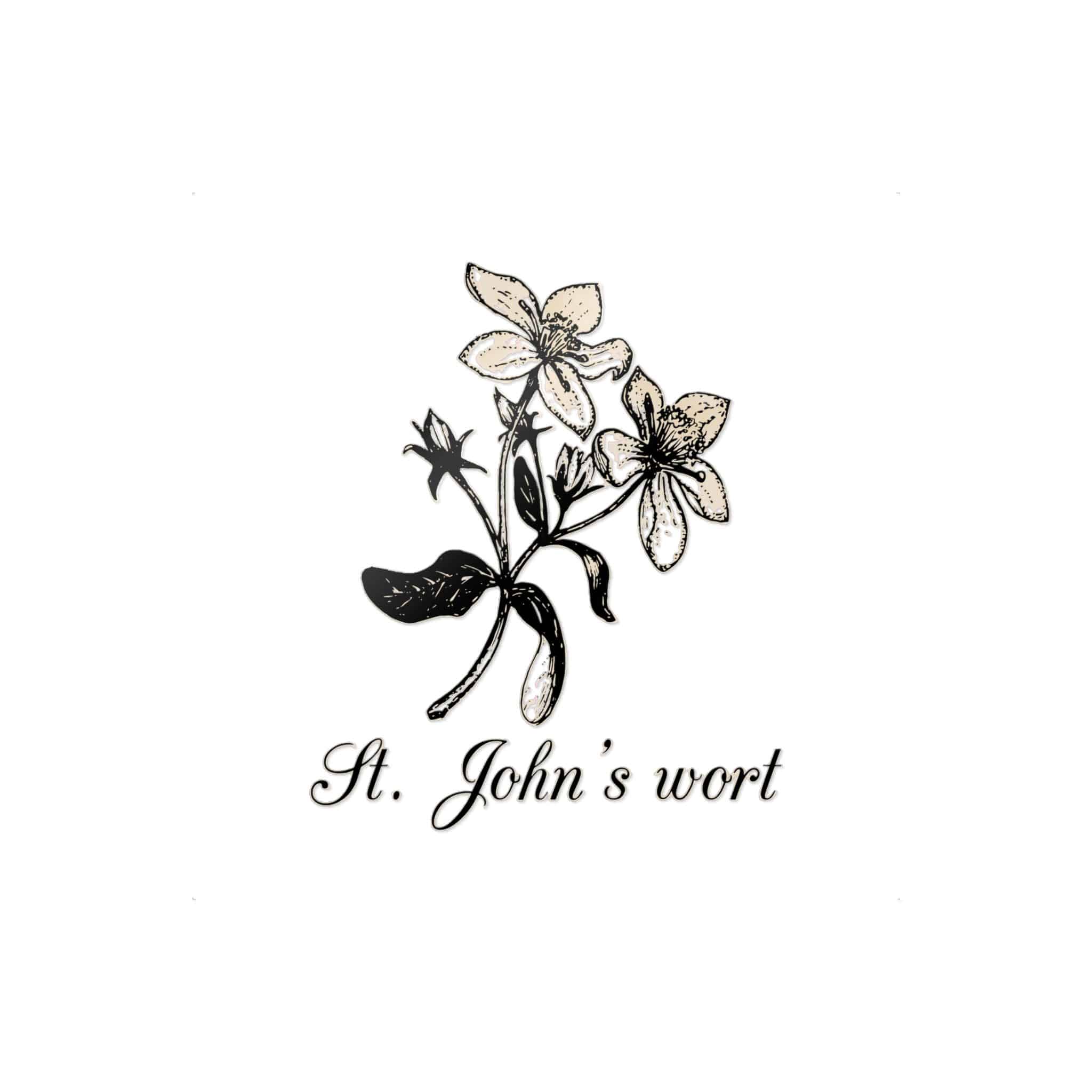 St Johns Wort Die Cut Stickers Dtf - Image 13
