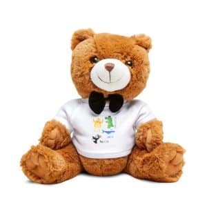 Animals Set Colorful Teddy Bear With T Shirt