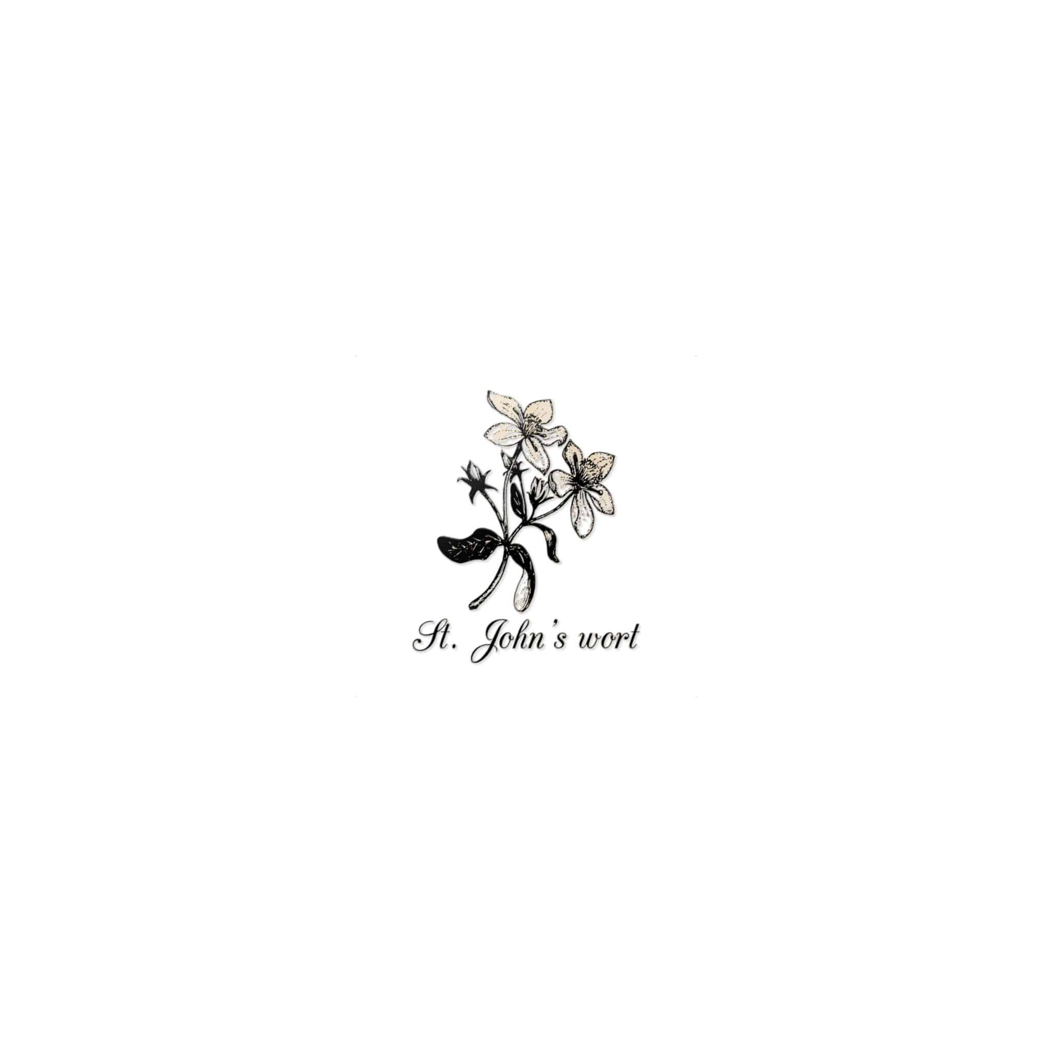 St Johns Wort Die Cut Stickers Dtf - Image 17