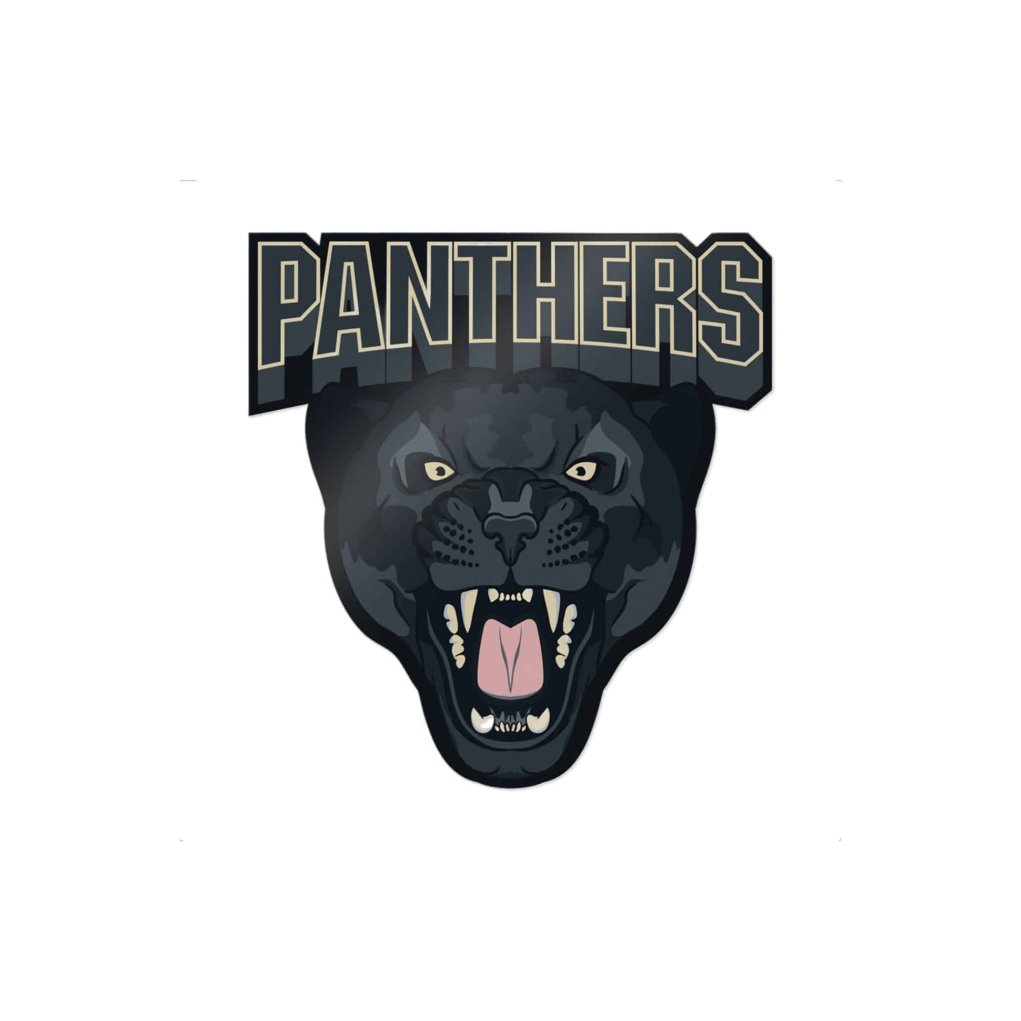Panthers Die Cut Stickers Dtf - Image 11